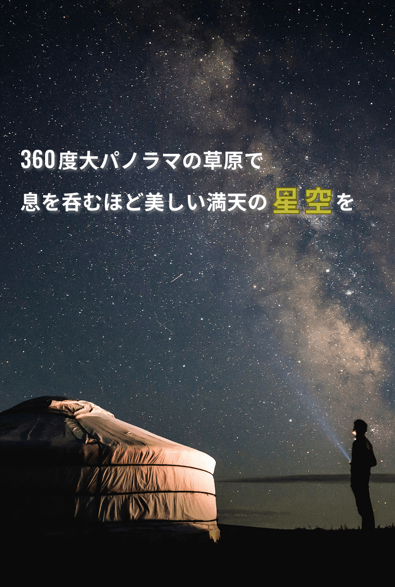 モンゴルの星空